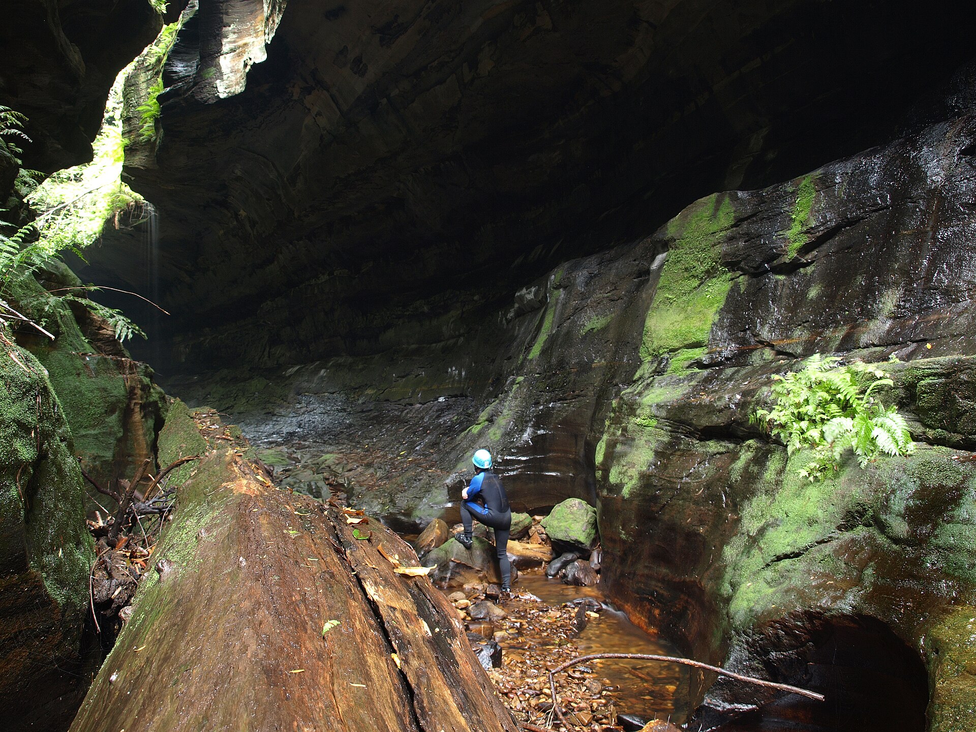 A canyoner in a wetsuit and helmet descending a narrow watercourse near Blackheath