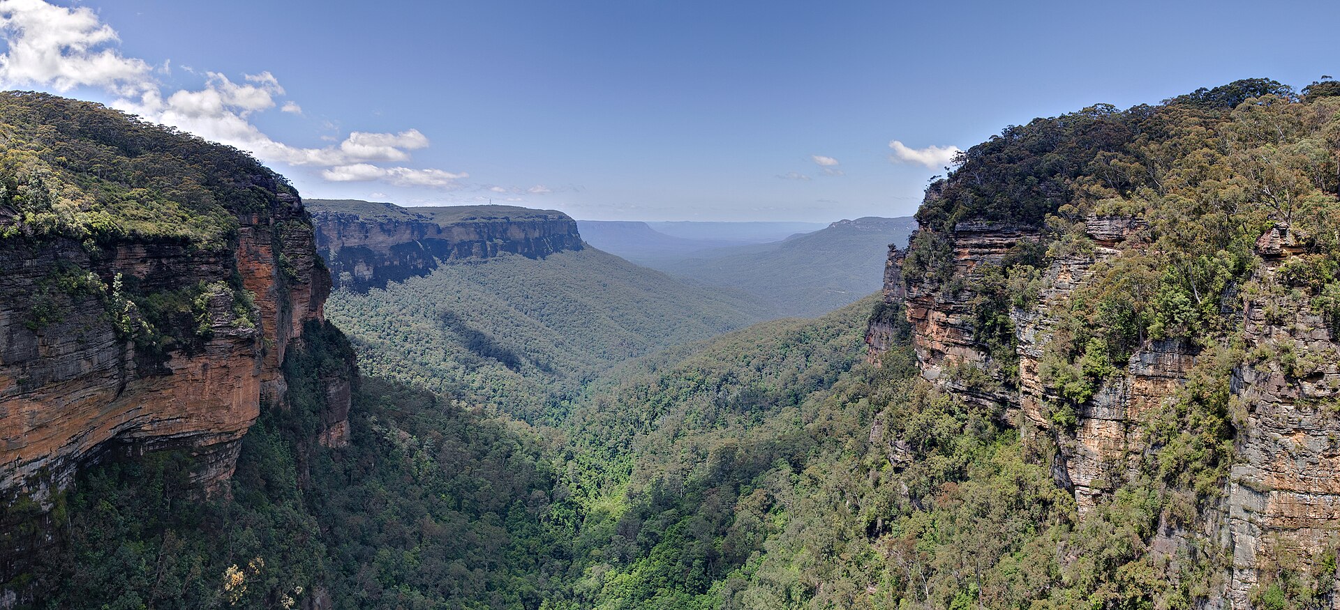 Sandstone cliff lines and eucalypt forest across the Jamison Valley
