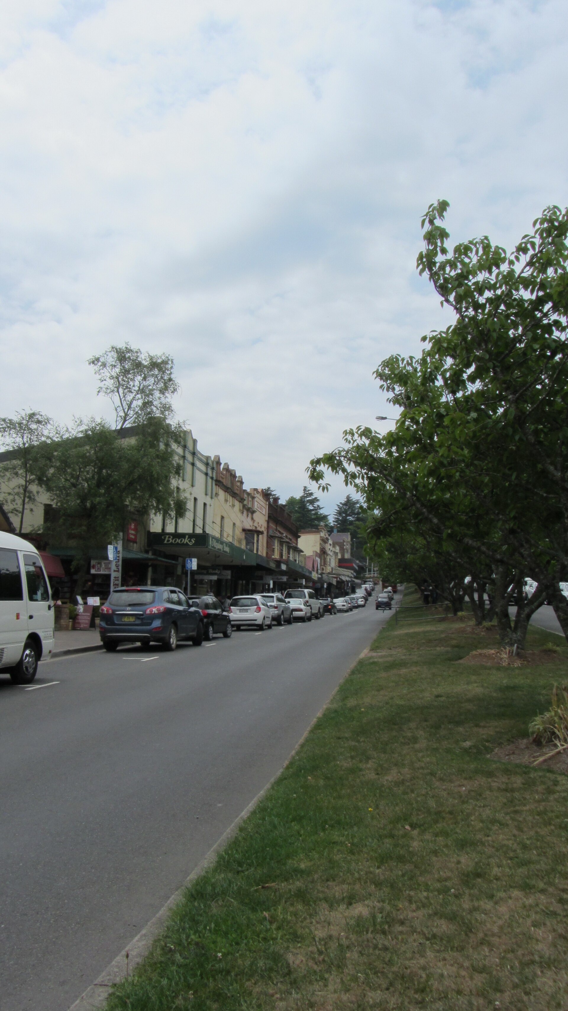 Shopfronts and street trees along Leura Mall